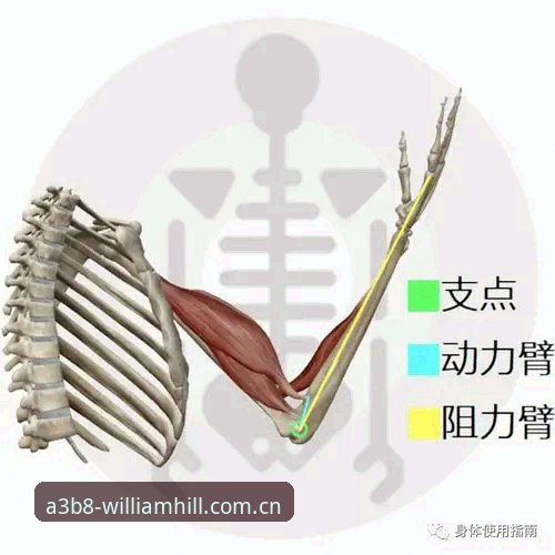 威廉希尔A3B8对比分析完整指南：探索体育博彩的创新玩法
